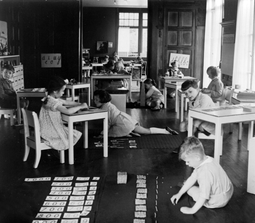 Casa Curriculum
